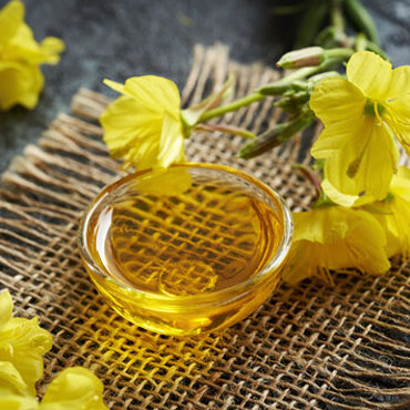 Evening Primrose Oil factory in Noida